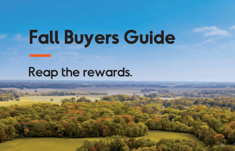 Fall Buyer's Guide